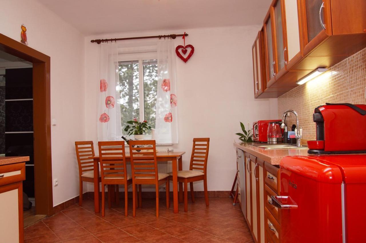 Luxusni Apartman Nmnm Family Nove Mesto na Morave Ngoại thất bức ảnh